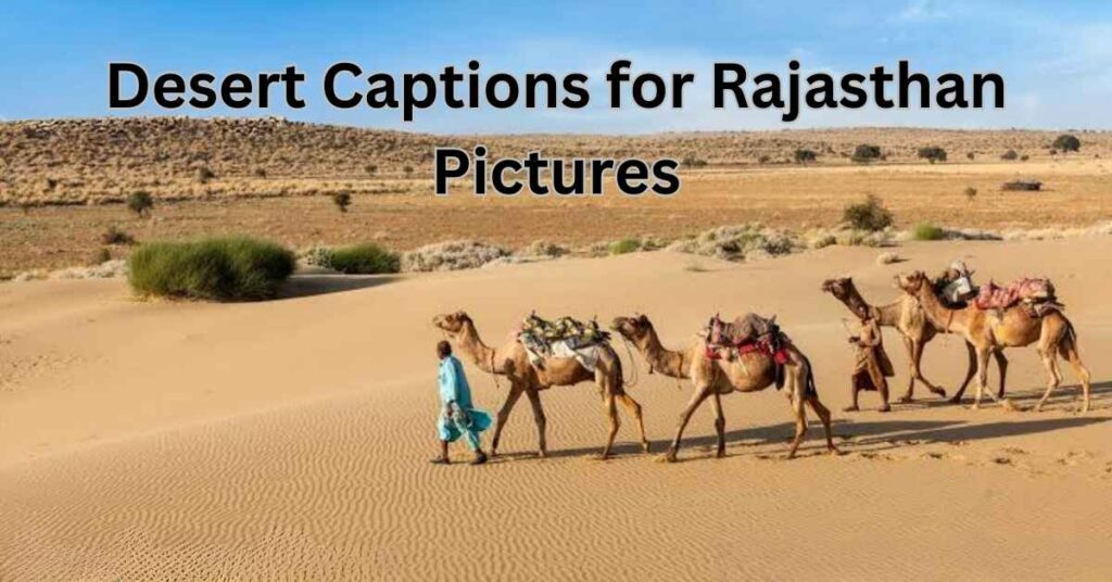 Desert Captions for Rajasthan Pictures